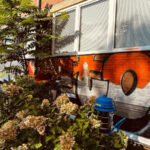 Graffiti-G1-elewacja-small