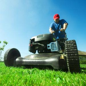 Pielęgnacja ogrodów